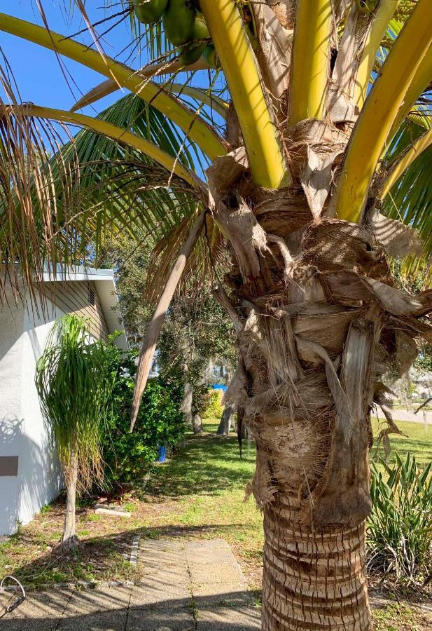 Quiet Venice Retreat With Private Lanai And Pool! Εξωτερικό φωτογραφία